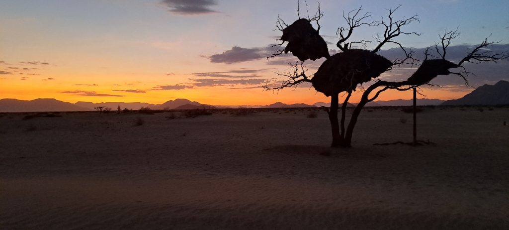 Sonnenaufgang Desert Camp