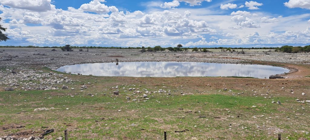 Wasserloch Etosha