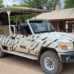 Safari Jeep