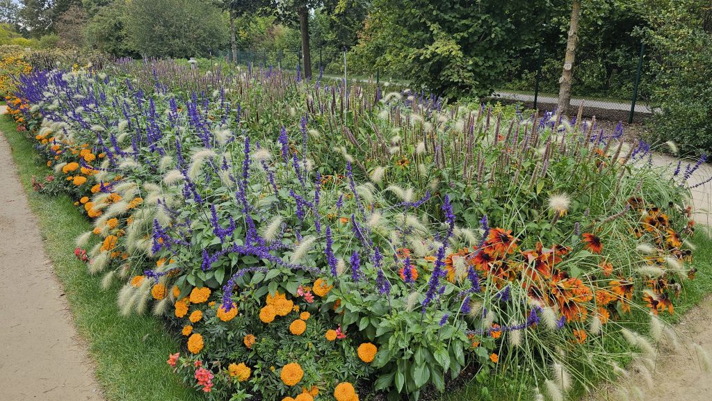 Blumen im Park der Gärten