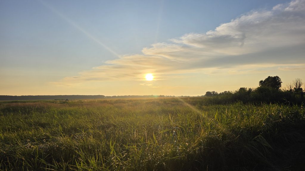 Sonnenuntergang Haff