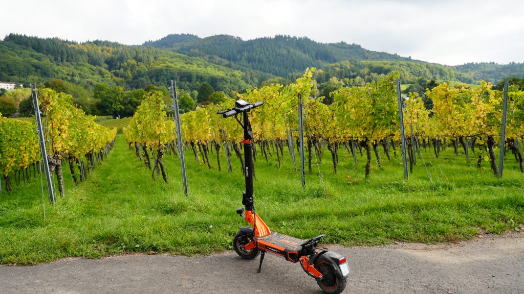 RCB Scooter im Weinberg