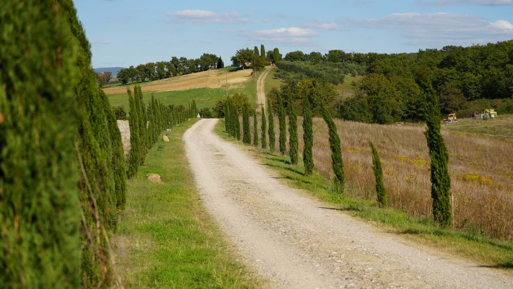 Zypressenalle Toskana