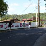Botanischer Garten Martinique