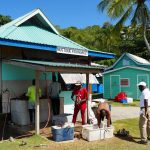 Fisch Mustique