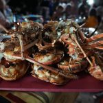 Lobster in der Karibik