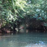 Indian River